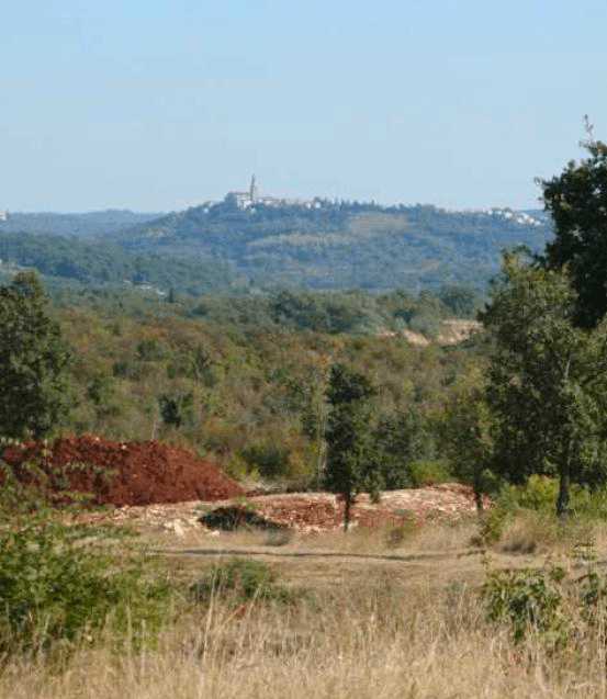 Markocija Estate in Istria, Mediterranean woodland rising toward the hilltop town of Buje.