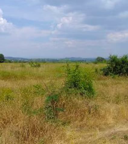 Gently rising terrain with open views to the Adriatic and the Dolomites.